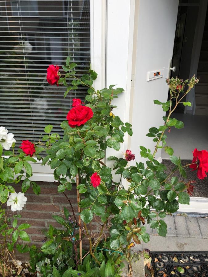 Vakantiewoning In Middelburg Zeeland Екстериор снимка
